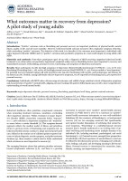 What outcomes matter in recovery from depression? A pilot study of young adults